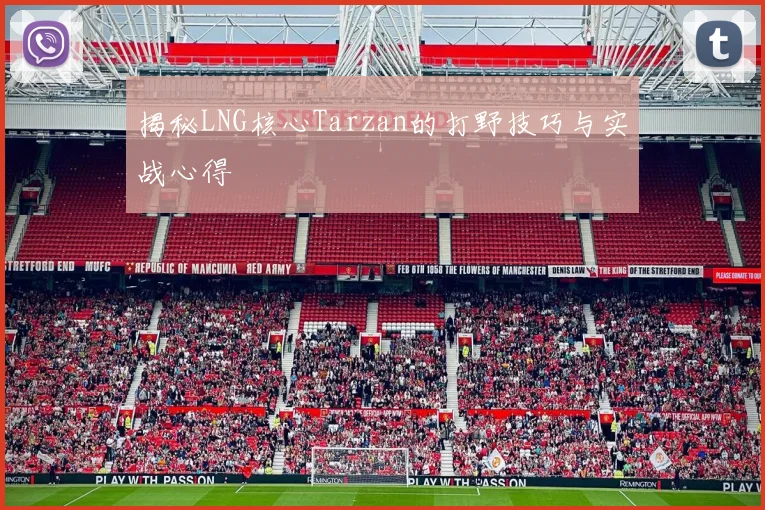 揭秘LNG核心Tarzan的打野技巧与实战心得
