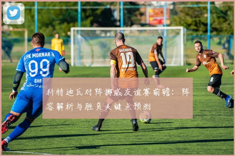 科特迪瓦对阵挪威友谊赛前瞻：阵容解析与胜负关键点预测
