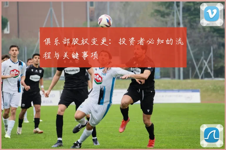 俱乐部股权变更：投资者必知的流程与关键事项