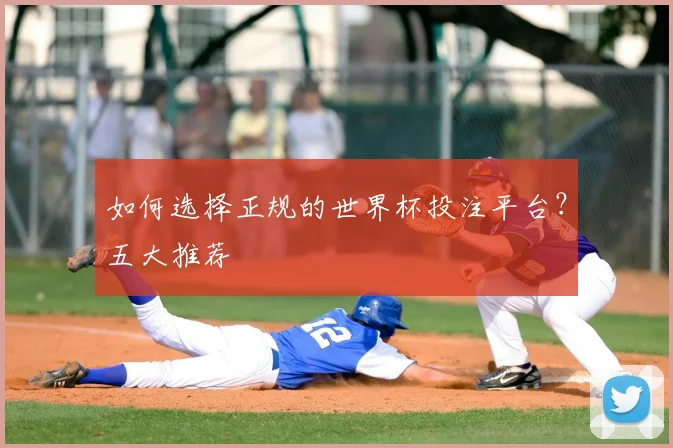 如何选择正规的世界杯投注平台？五大推荐