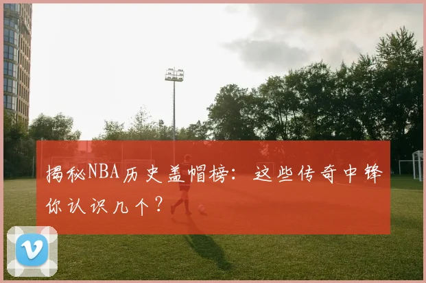 揭秘NBA历史盖帽榜：这些传奇中锋你认识几个？