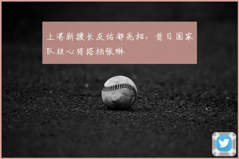 上港新援长友佑都亮相，昔日国家队核心将搭档张琳芃